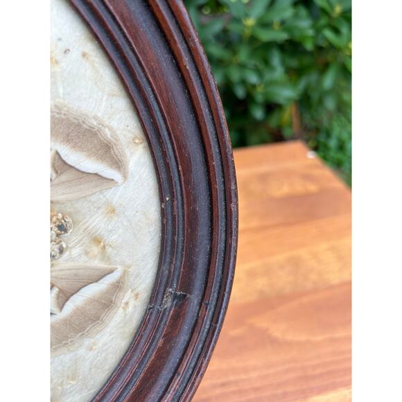 Vintage pressed butterfly and flower simple oval wood frame bubble glass - Picture 7 of 16